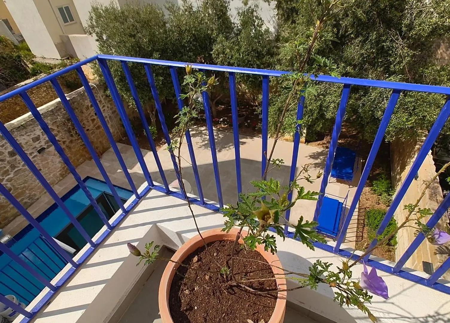 Hotel Alba Sliema